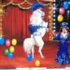 Decordoek Circus huren Ter Aar - Nieuwkoop